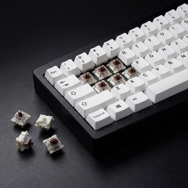 Clavier mécanique équipé de switchs tactiles Brown 3-pin Magnia